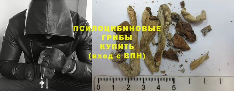 Галлюциногенные грибы GOLDEN TEACHER  Морозовск 